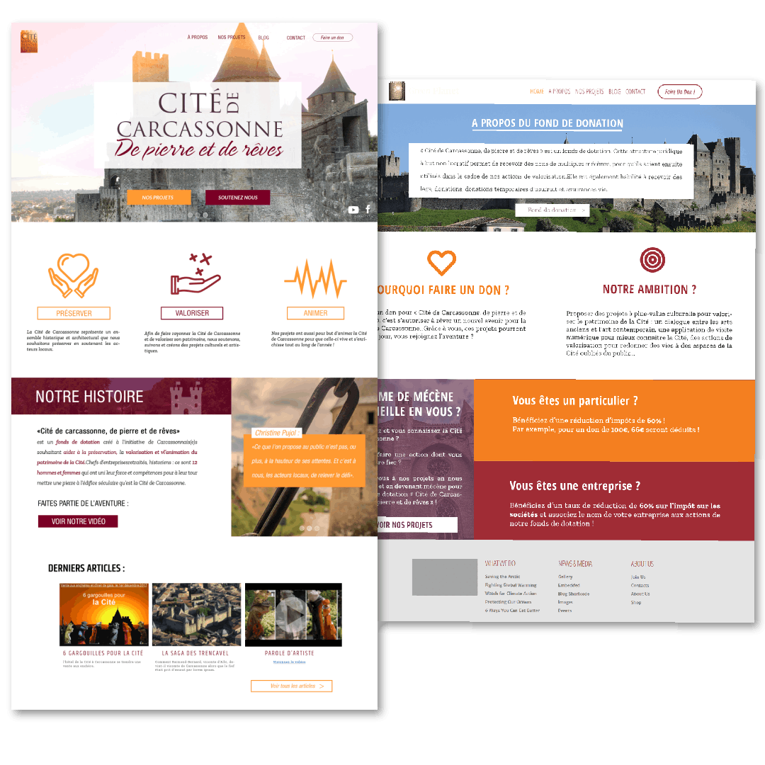 Aperçu du site